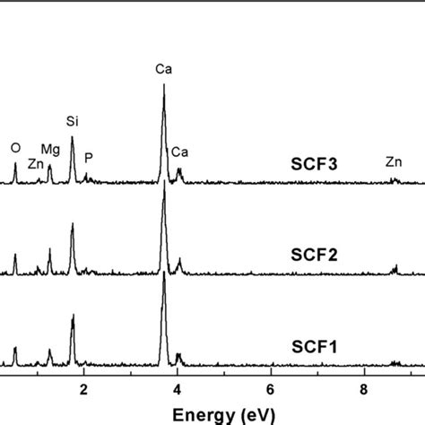 Xrd Patterns Of The Scaffolds Thermally Treated In Different Conditions