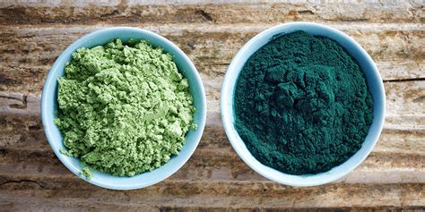 Spirulina Vs Chlorella Which Microalgae Is Better