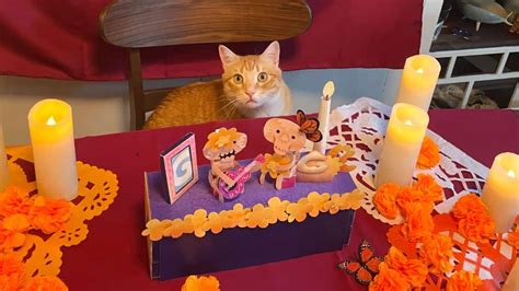 Día de Muertos 2023 El simpático gato del altar de Google