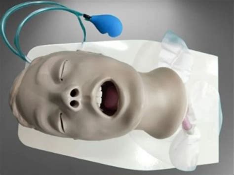 Airway Management And Intubation Trainer Advanced Airway Larry