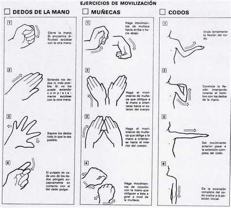 Fugaz Susteen Sano Ejercicios Con Las Manos Para Ni Os Ciencias