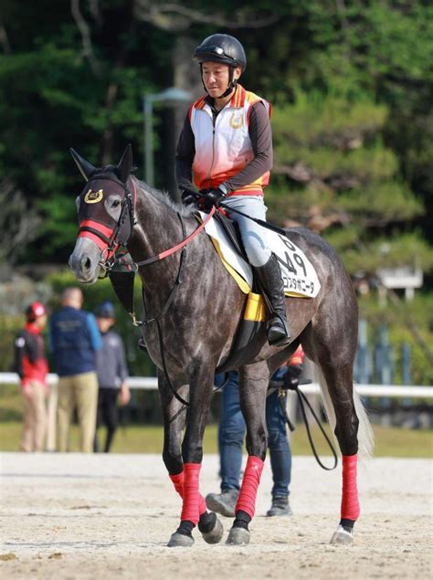 【マーメイドs】コスタボニータ 高まる重賞連勝への期待 杉山佳師「秋のg1舞台へ向けもう一つ勝てたら」うま屋デイリースポーツ Online