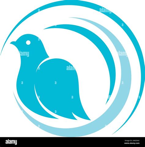 Bird Wing Dove Logo Template Vector Illustration Stock Vector Image