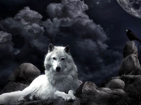 🔥 [67+] Fantasy Wolf Wallpapers | WallpaperSafari