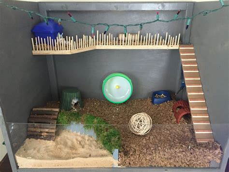 How To Make Homemade Hamster Cages