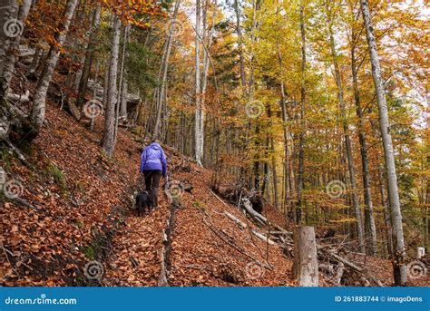 Hiking Through The Vrata Valley In Autumn Triglav National Park In