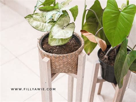 DIY Cara Membuat Standing Pot Dari Kayu Fillyawie Indonesian