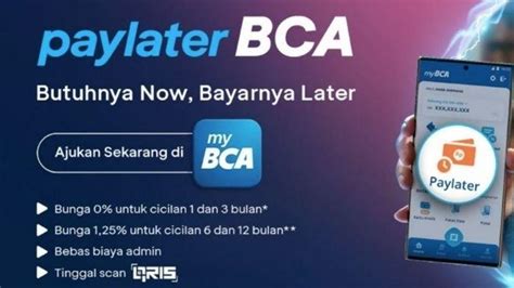 Cara Pakai BCA Paylater Bayar Pakai QRIS Dengan Limit Hingga Rp 20