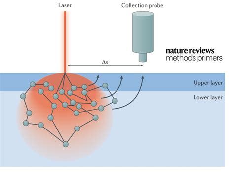 Nature Reviews Methods Primers On Twitter Learn About Spatially