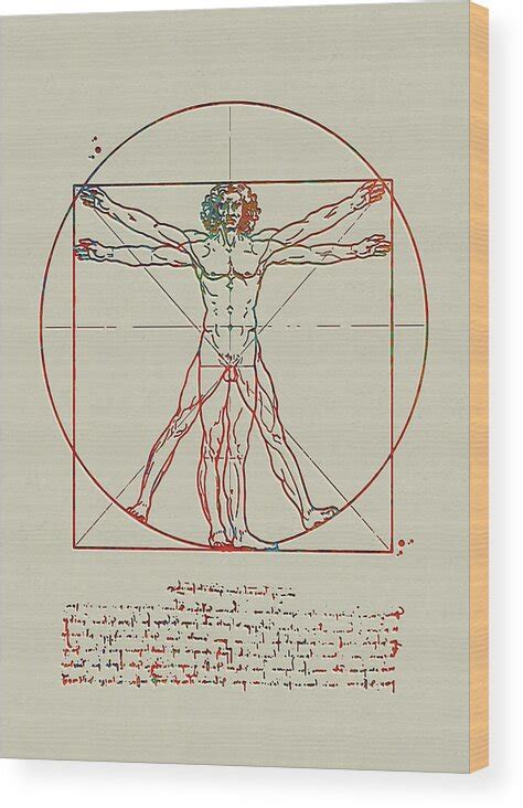 Vitruvian Man Science Art Print Leonardo Da Vinci Vitruvian Man Poster