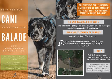 Sans Titre 2022 07 01T093342 231 Elevage Pension Canine Combe Delacquis