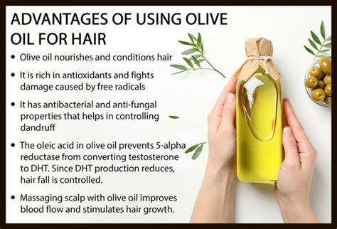 Top 155 Olive Oil Hair Growth Recipe Polarrunningexpeditions