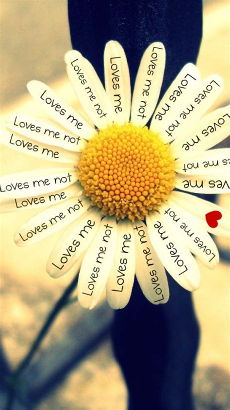 Love Me, Love Me Not Wallpapers - Top Free Love Me, Love Me Not ...