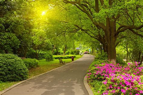 Spring Park Walk Spring Park Bonito Trees Alley Pretty Greenery