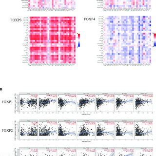 Verification Of Foxp Foxp Foxp And Foxp Expressions In Thca By