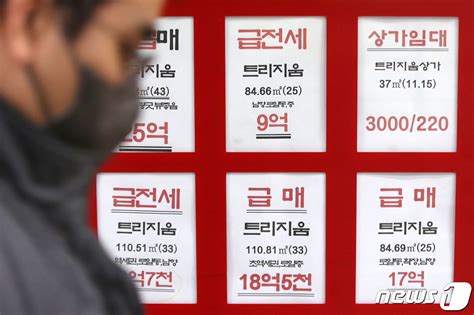 서울 아파트 거래량 증가 16개월만에 최대 네이트 뉴스