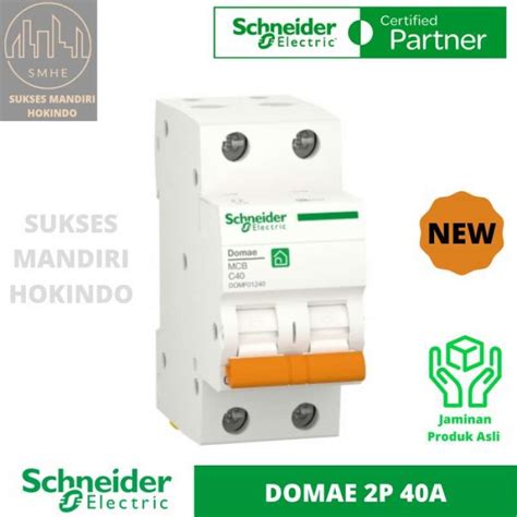 Jual Mcb 2 Phase 40 Ampere 2p 40a 2pole Schneider Domae Baru 6ka Ori