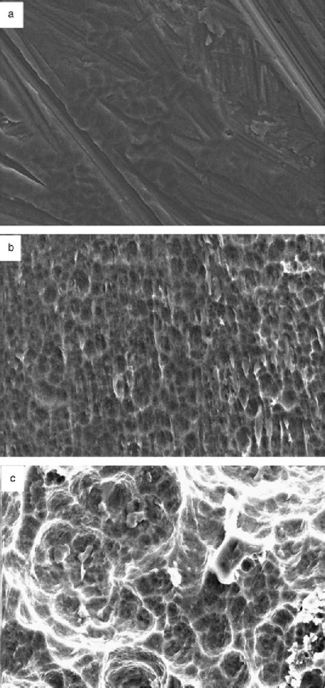 Figure 1 From Adsorption Of Human Plasma Proteins To Modified Titanium