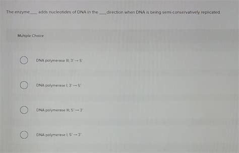 Solved The enzyme adds nucleotides of DNA in the direction | Chegg.com 