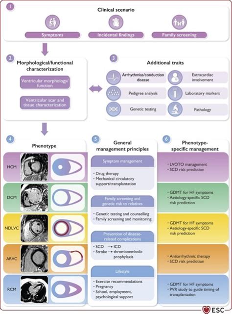 Guidelines On The Different Forms Of Cardiomyopathy Presented At The