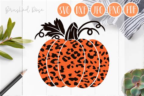 Leopard Pumpkin Svg Layered Svg Fall Graphic By Brushed Rose