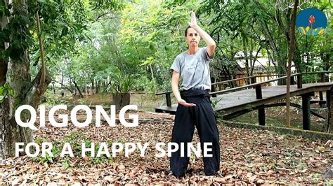 Qigong For A Happy Spine Functional And Energetic Movement YouTube