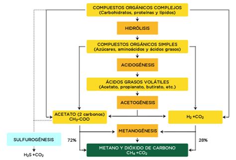 Biogas Oilfox