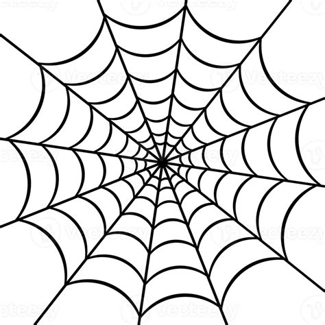 Spider Web Png Illustration Png