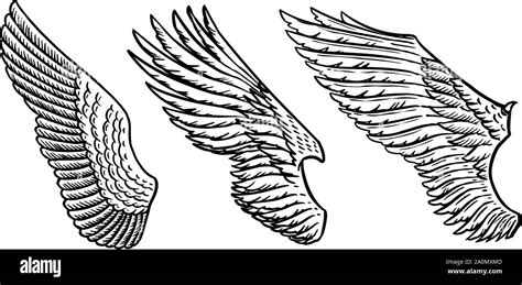 Set Of Angel Wings In Vintage Style Template For Tattoo And Emblems T