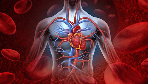 Poor Blood Flow Circulation Treatments For