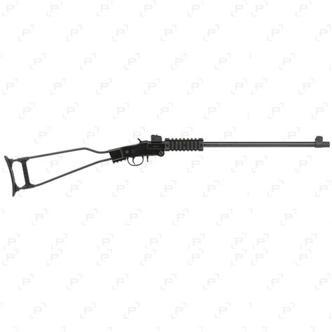 Carabine Pliante Chiappa Little Badger Calibre 17 Hmr Armurerie Pisteurs