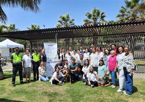 Profesionales De La Gerencia De Atenci N Primaria De Tenerife