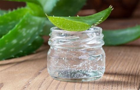 Come Estrarre Il Gel Dalla Pianta Dell Aloe In Casa Con Sole Mosse