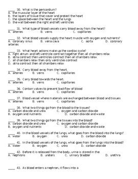 Anatomy and Physiology Final Exam by Dr Rex | TPT