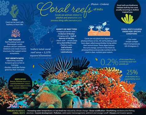 Coral Reefs Of India What Makes Them Important Ecosystems Roundglass