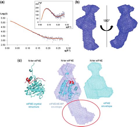 Structure Of 4e Bp Bound To Eif4e In Solution A Experimental Saxs Download Scientific