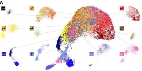 MitoSpace: A Novel Mitochondrial Phenotypic Atlas for Drug Discovery ...