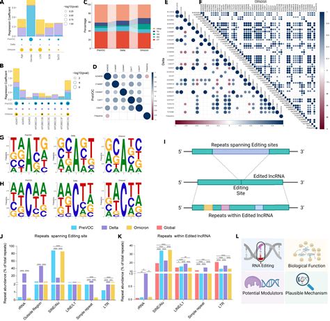 Rna Editing In Host Lncrnas As Potential Modulator In Sars Cov