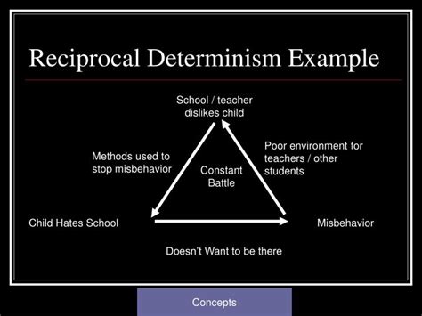 Reciprocal Determinism Examples