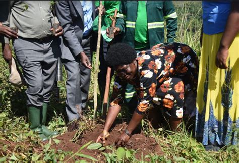 American Tower Corporation Partners With Nema To Restore Mabira Forest