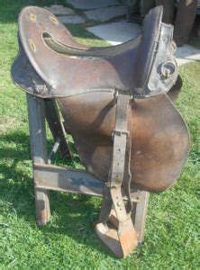 McClellan Saddle Identification – The McClellan Saddle