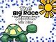 Journey S First Grade Lesson 14 The Big Race Comprehension Task Cards