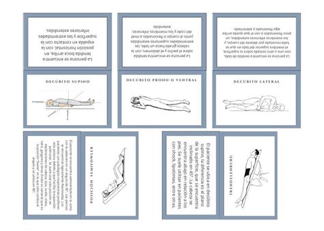 Posiciones Anatomicas Yazareth Valladares Udocz