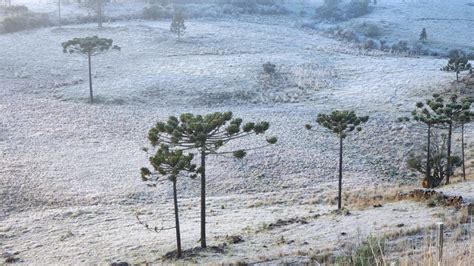 SC tem chance de neve e frio histórico em pleno novembro diz Epagri