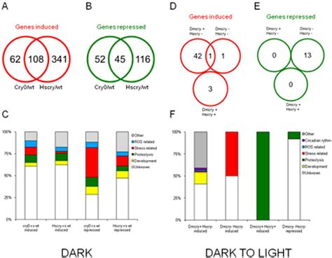 Transcriptome Analysis Of Cryptochrome Dependent Gene Expression In