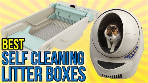 Best Self Cleaning Litter Boxes Youtube