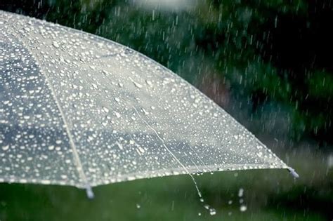 Semana será marcada por temporais e chuva volumosa em SC Tudo Sobre