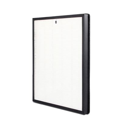 Products Air Filter Air Filter True Hepa Filter Activated Carbon