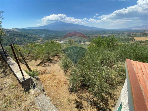 Terreno Agricolo Castiglione Di Sicilia Rif Immobiliare It