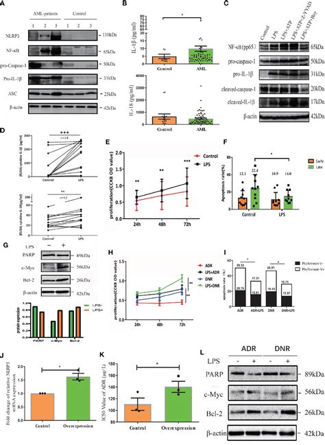 Frontiers Nlrp3 Inflammasome Promotes The Progression Of Acute